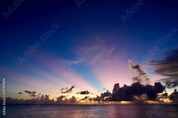 Obraz ピンクの太陽光