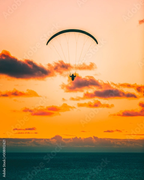Obraz Paragliding at sunset