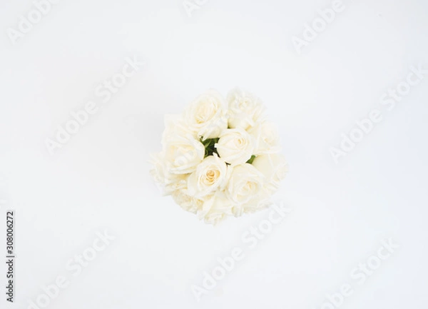 Obraz White roses isolated on white background