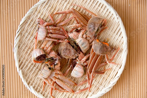 Obraz ズワイガニ　メス　鍋用