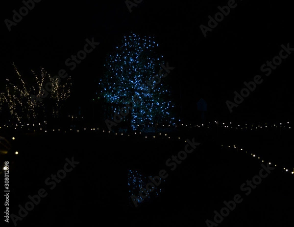 Obraz christmas tree on black background