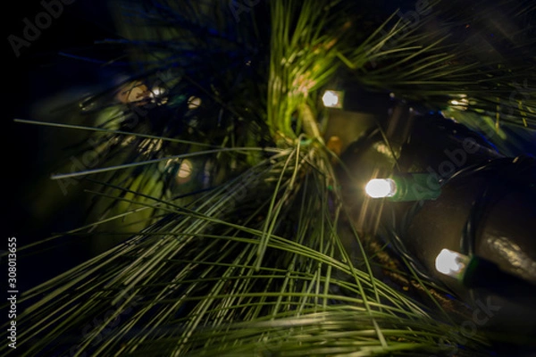 Obraz christmas tree with lights