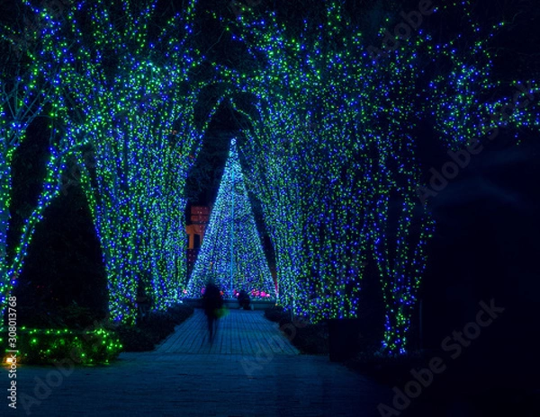 Obraz christmas tree with stars