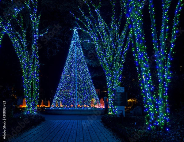 Obraz christmas tree at night