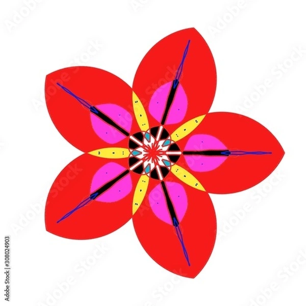 Fototapeta flower on white background