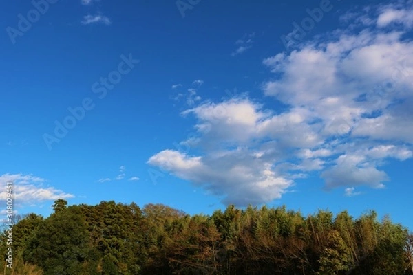 Obraz 秋　空　田舎　森　風景　栃木