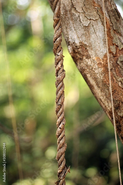 Obraz natural rope