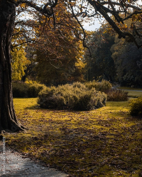 Obraz Bournemouth gardens