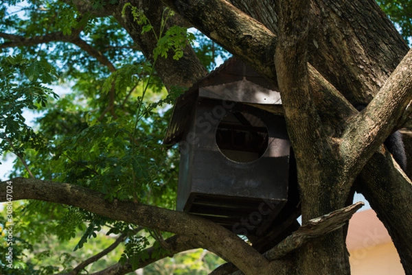 Obraz birdhouse on tree