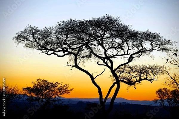 Obraz african sunset