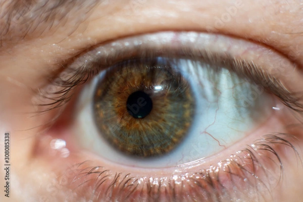 Obraz Bernstein Auge