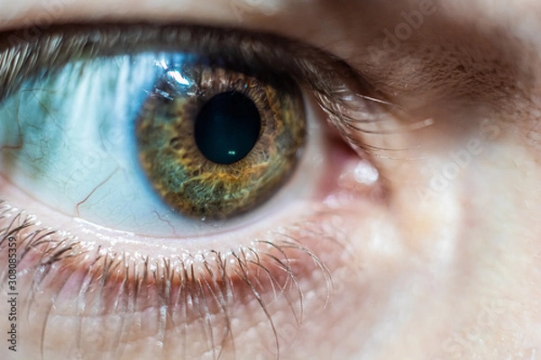 Obraz Bernstein Auge