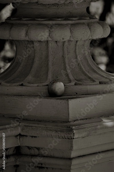 Fototapeta Forgotten Apple