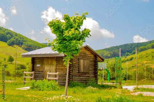 Obraz house in the forest