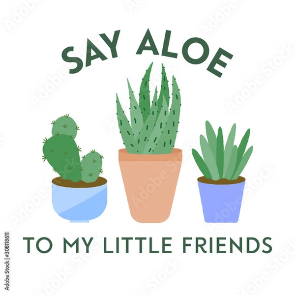 Fototapeta Vector illustration of 3 textured houseplants in pots with typography. Say aloe to my little friends. Funny plant concept.