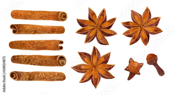 Obraz  A watercolor illustration set of spices on a white background. Cinnamon, anise, clove. Spices for mulled wine.