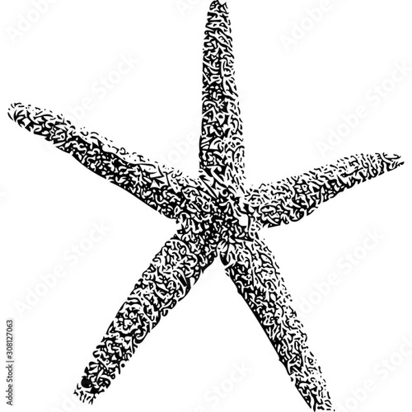 Obraz Starfish detailed 
