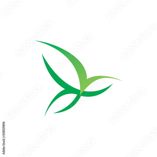 Fototapeta leaf line color logo design