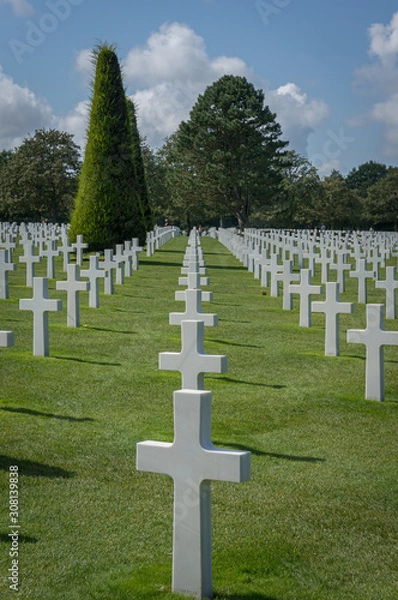 Obraz cemetery in normandy