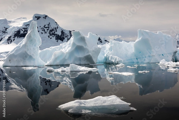 Fototapeta Interesting shapes of icebergs reflected in the waters of Paradise Habour, Antarctica