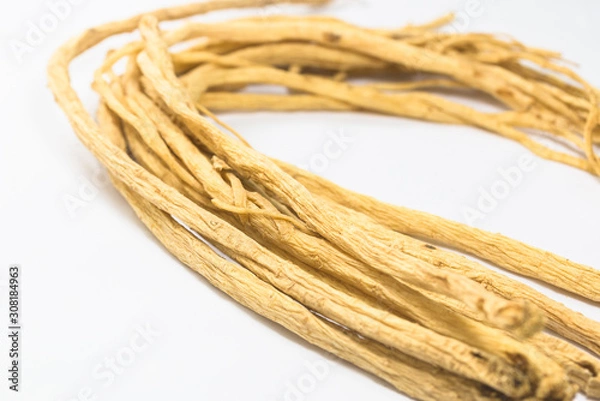 Fototapeta Codonopsis on a white background