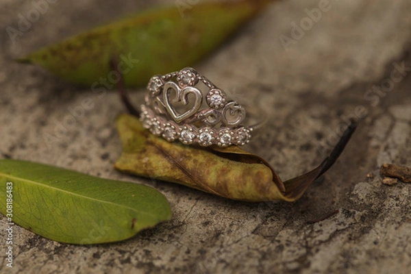 Obraz anillo con hojas