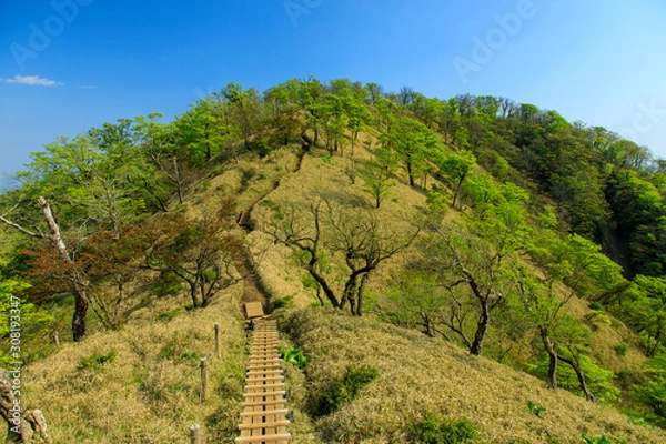 Obraz 蛭ヶ岳、丹沢山、塔ノ岳 56