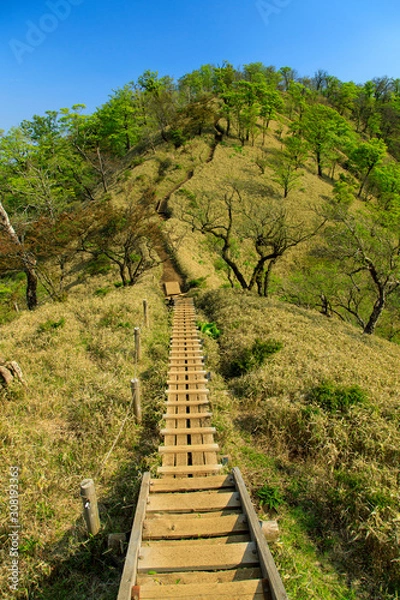 Obraz 蛭ヶ岳、丹沢山、塔ノ岳 57