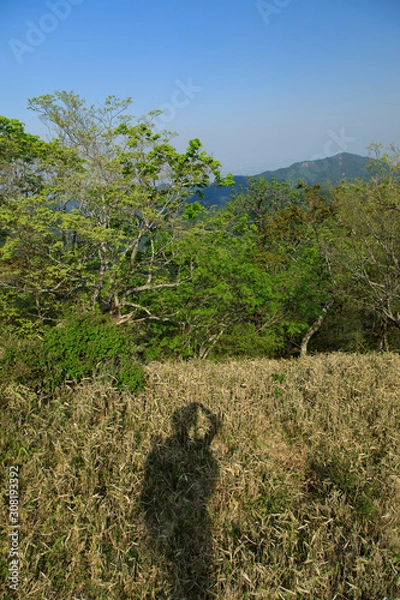 Obraz 蛭ヶ岳、丹沢山、塔ノ岳 78