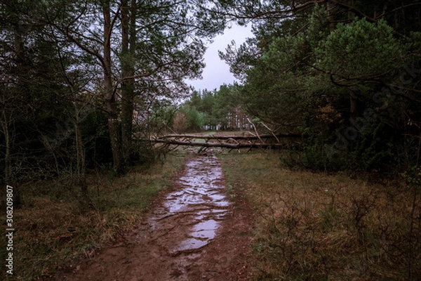 Obraz Broto Mountains,Spain