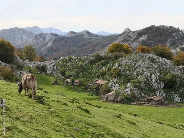 Obraz Automne dans les Asturies