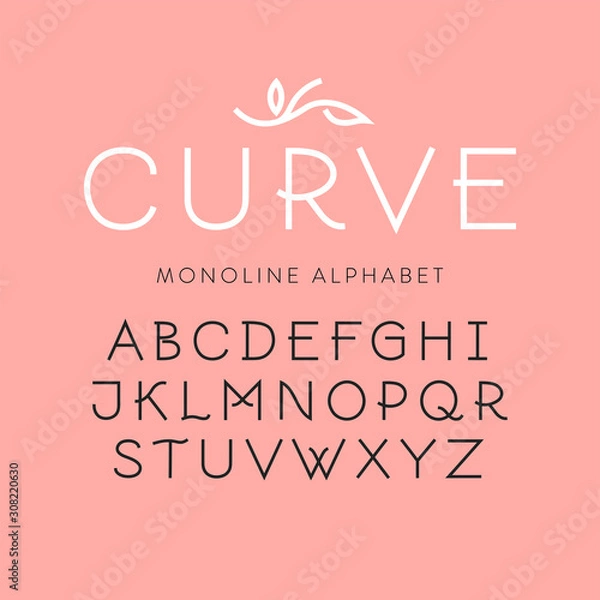 Fototapeta Vector thin line uppercase alphabet. For logo design, feminine branding