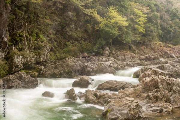 Obraz 春の長門峡