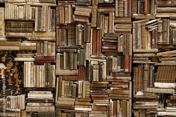 Obraz Books Wall