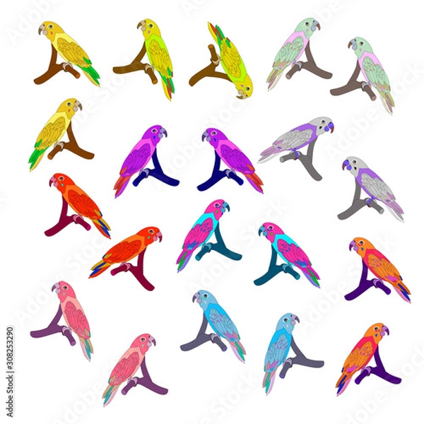 Obraz Bright parrots sitting on a branch