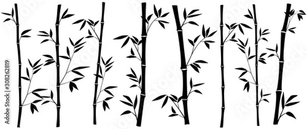 Obraz Bamboo forest for background EPS 10