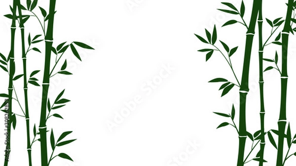 Obraz Bamboo forest for background EPS 10