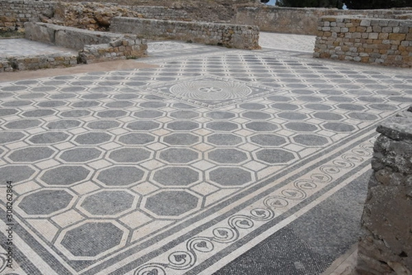 Obraz Mosaïques romaines