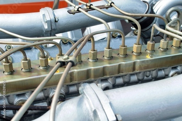 Obraz Diesel fuel system