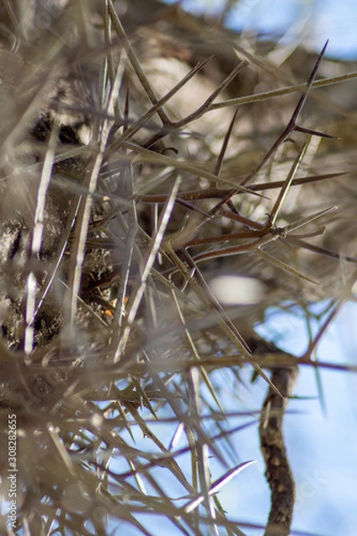 Obraz gotta make it through