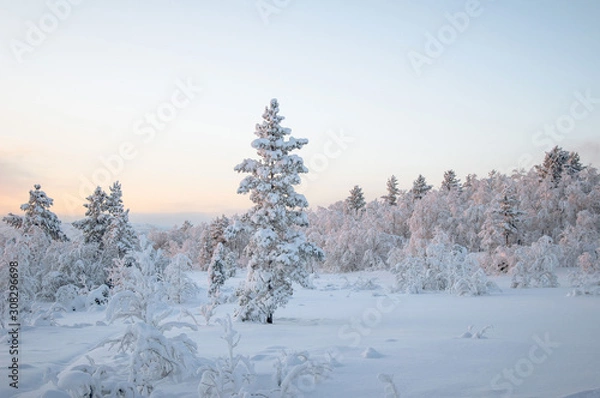 Obraz Winter landscape