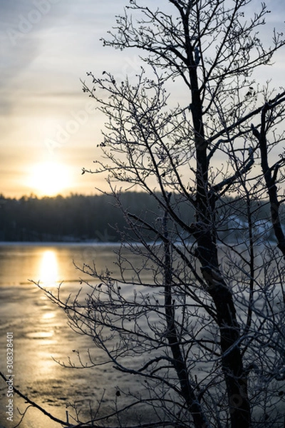 Obraz sea ice and tree