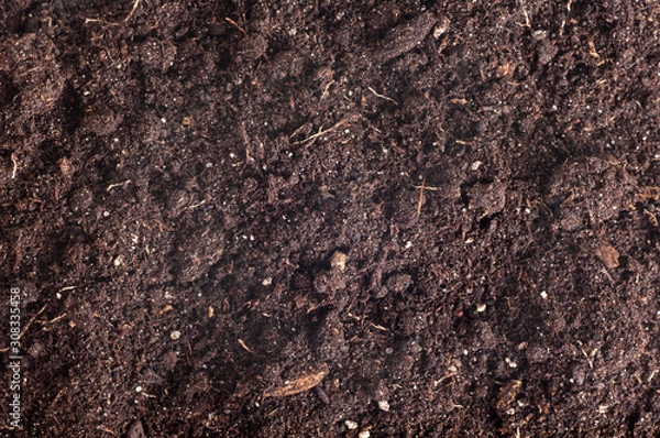 Fototapeta soil  background, ground texture top view