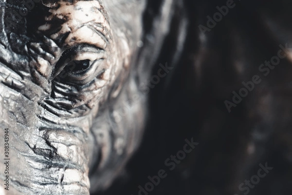 Fototapeta elephant toy close up