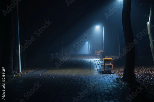 Obraz Fog. Night. Park. Alley. The lights are on.
