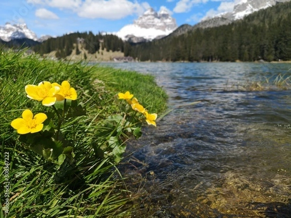 Fototapeta Mountain landscape