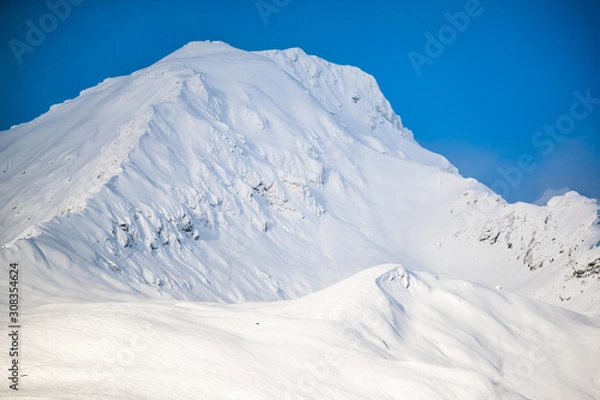 Fototapeta Frosting Mountain