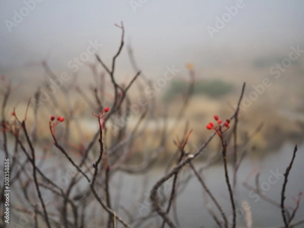 Fototapeta 千畳敷カール