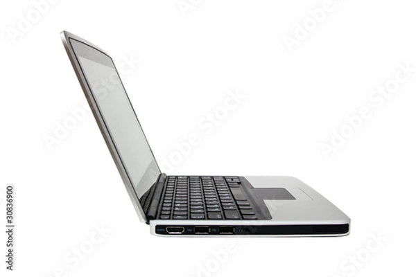 Fototapeta Single netbook (laptop)