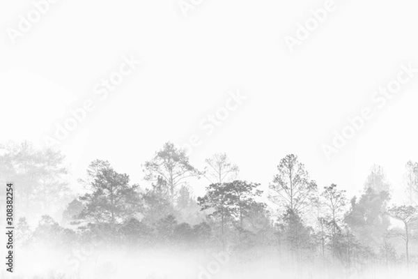 Obraz silhouette forest outline. fog covered jungle. Thailand multiple layers tropical wood land.
